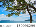 Ocean view with pine trees and two islands 130098299