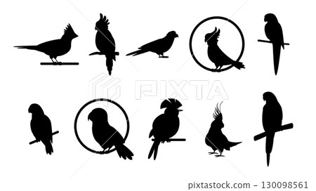 Parrot silhouettes. Isolated parrots on sticks and in ring, birds for cages.Decorative wall stickers templates, cutting elements, vector set Parrot silhouettes. Isolated parrots on sticks and in ring, birds for cages.Decorative wall stickers templates, cutting elements, vector set 130098561