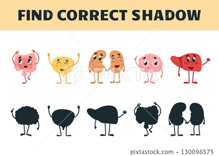 Find correct shadow. Cartoon internal organs and shadows. Children medical educational game. Development kindergarten play template, vector design Find correct shadow. Cartoon internal organs and shadows. Children medical educational game. Development kindergarten play template, vector design 130098575