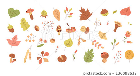 Set of autumn leaves, berries, mushrooms and nuts. Color clipart for your projects. 130098632