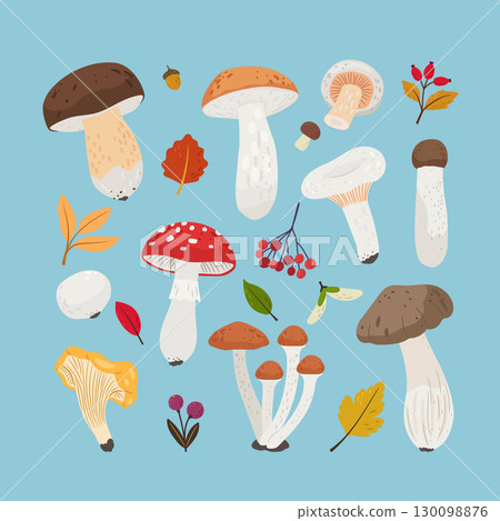 Cute cartoon edible mushrooms set. Autumn forest mushrooms isolated vector collection 130098876