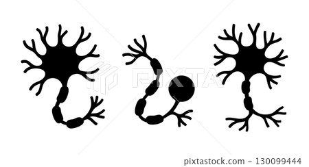 Three neuron types showing axons, dendrites, and synaptic branches for scientific or educational use Three neuron types showing axons, dendrites, and synaptic branches for scientific or educational use 130099444