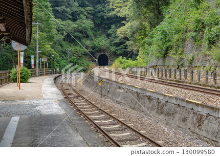 JR坪尻站：四國的隱密車站 130099580