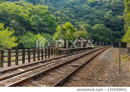 JR Tsubojiri Station: A hidden station in Shikoku 130099601