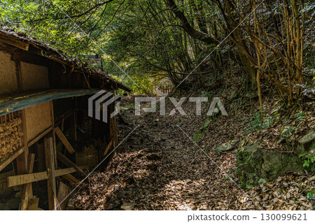 JR坪尻站：四國的隱密車站 130099621