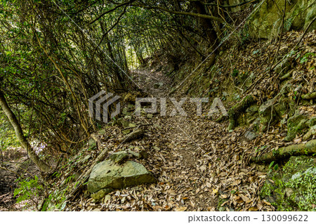 JR坪尻站:四國的隱密車站 JR坪尻站:四國的隱密車站 130099622