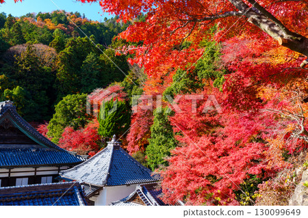 Yokokuji Temple in autumn, surrounded by autumn leaves Yokokuji Temple in autumn, surrounded by autumn leaves 130099649