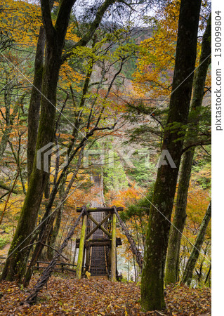 Oku-Iya Double Kazura Bridge: A couple's bridge nestled in a secluded area 130099804