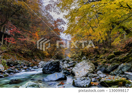 Oku-Iya Double Kazura Bridge: A couple's bridge nestled in a secluded area 130099817