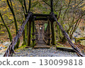 Oku-Iya Double Kazura Bridge: A couple's bridge nestled in a secluded area 130099818
