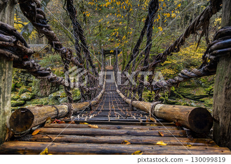Oku-Iya Double Kazura Bridge: A couple's bridge nestled in a secluded area 130099819