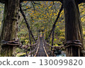 Oku-Iya Double Kazura Bridge: A couple's bridge nestled in a secluded area 130099820