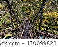 Oku-Iya Double Kazura Bridge: A couple's bridge nestled in a secluded area 130099821