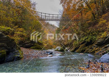 Oku-Iya Double Kazura Bridge: A couple's bridge nestled in a secluded area 130099822