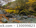 Oku-Iya Double Kazura Bridge: A couple's bridge nestled in a secluded area 130099823