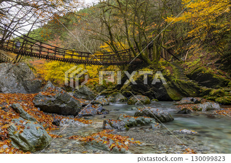 Oku-Iya Double Kazura Bridge: A couple's bridge nestled in a secluded area 130099823