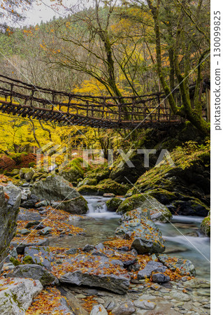 奧祖谷雙葛橋：隱密的情侶橋 130099825