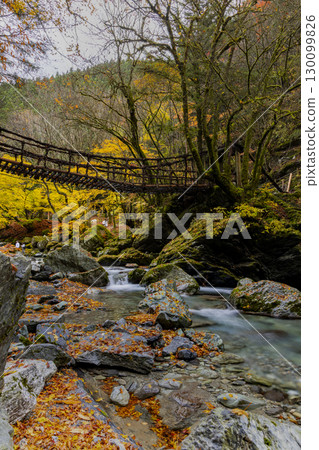 Oku-Iya Double Kazura Bridge: A couple's bridge nestled in a secluded area 130099826