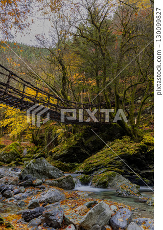 Oku-Iya Double Kazura Bridge: A couple's bridge nestled in a secluded area 130099827