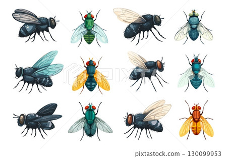 Cartoon housefly. Fly insect houseflies, black grey green yellow bug with wing pest domestic insects house flies set vector illustration 130099953