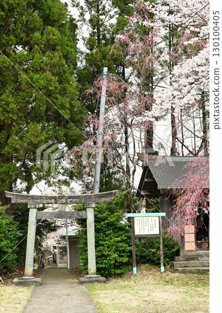 伊達神社（新潟縣） 130100405