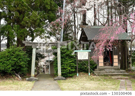 伊達神社(新潟縣) 伊達神社(新潟縣) 130100406