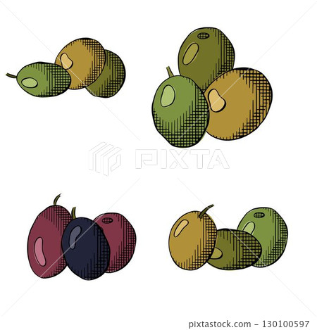 Olive tree berry composition set colored. Vector graphic line ink illustration. Fresh Greek berries. Italian oil vegetables, oliva. Use for cosmetic package, shop, spa salon, wellness program, skin. 130100597