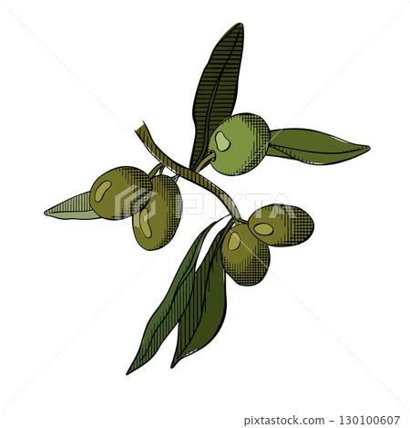 Olive berry branch composition colored. Vector graphic line ink illustration. Silhouette sign for logo, print, comics, fashion, pop art, boards, design, stickers, decoration, posters 130100607