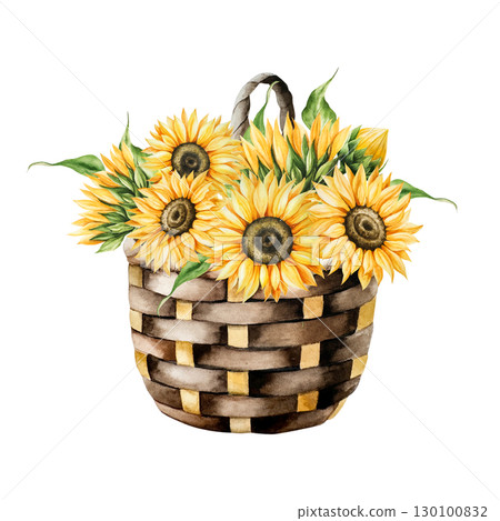 Watercolor wicker basket with bright yellow sunflowers in warm autumn tones. Botanical hand drawn illustration isolated on background. Ideal for seasonal, halloween, forest, or nature-themed designs Watercolor wicker basket with bright yellow sunflowers in warm autumn tones. Botanical hand drawn illustration isolated on background. Ideal for seasonal, halloween, forest, or nature-themed designs 130100832