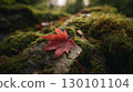A single autumn leaf fallen on a mossy rock 130101104