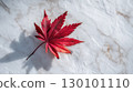 Vibrant red autumn leaves that stand out against a white background 130101110