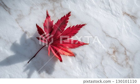 Vibrant red autumn leaves that stand out against a white background 130101110