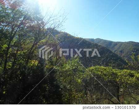 在秋葉弄髒的山 130101370