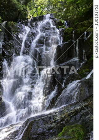 Beautiful Shiraito Waterfall, a popular tourist spot in Itoshima (Itoshima City, Fukuoka Prefecture) 130101752
