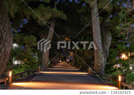 Night view of the Miho no Matsubara Pine Tree Line "Path of the Gods" - a World Heritage Site 130102425