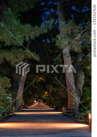 世界遺產三保松原松樹線「眾神之路」的夜景 130102426