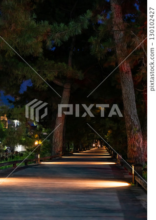 世界遺產三保松原松樹線「眾神之路」的夜景 130102427