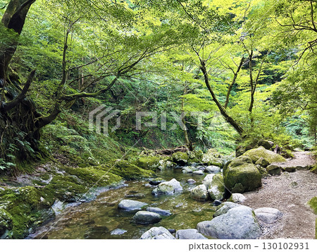 A valley that shines in the fresh green A valley that shines in the fresh green 130102931