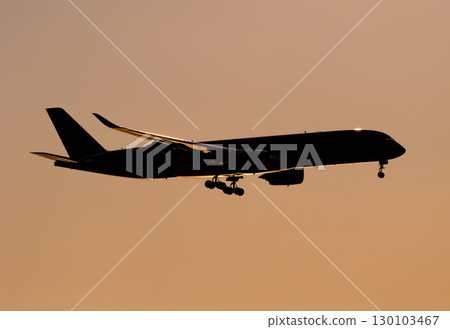 一架飛機在美麗的天空和雲彩中飛行 130103467
