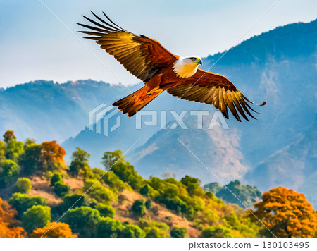 A beautiful Brahminy kite or Haliastur indus flying in the sky above the mountain. 130103495