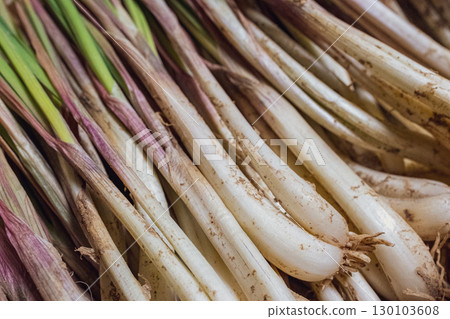 新鮮採摘的島嶼蔥 新鮮採摘的島嶼蔥 130103608