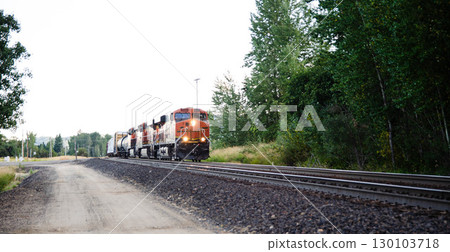 Powerful Freight Train on Tracks 130103718