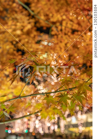 Autumn leaves in Marunouchi, Tokyo 130103884