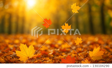 秋葉和落葉 130104290