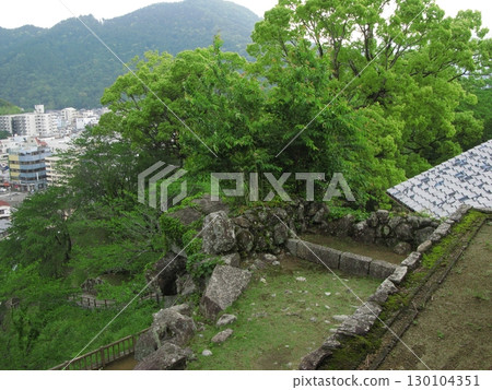 和歌山縣新宮市新宮城跡公園 和歌山縣新宮市新宮城跡公園 130104351