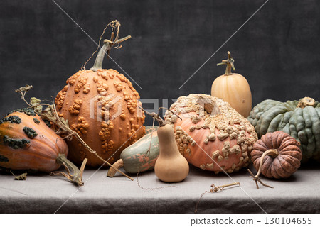 Mixed Pumpkin Varieties Autumn Harvest Mixed Pumpkin Varieties Autumn Harvest 130104655