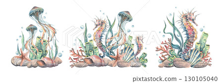 Clip art set with seahorses, jellyfish, corals, shells and bottles in ocean palette, hand-painted watercolor illustration for scrapbooking, invitations, digital design and summer marine decoration. Clip art set with seahorses, jellyfish, corals, shells and bottles in ocean palette, hand-painted watercolor illustration for scrapbooking, invitations, digital design and summer marine decoration. 130105040