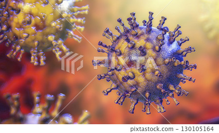 Varicella zoster or chickenpox virus 130105164