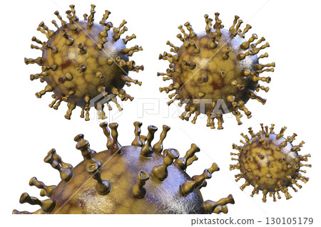 Varicella zoster or chickenpox virus Varicella zoster or chickenpox virus 130105179