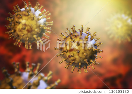 Varicella zoster or chickenpox virus 130105180